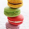 Try A Free Macaron Today